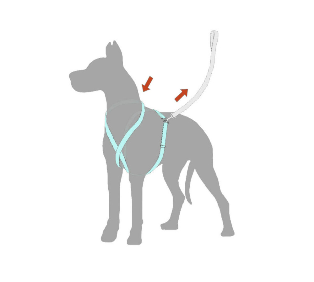 Dog Harness by Delson or Sherman Architects PC